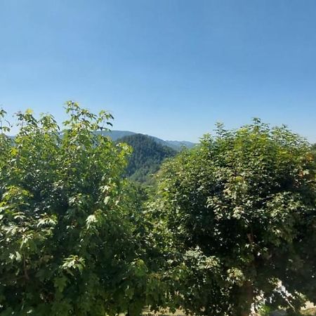 B & B Giu & Dany Bruscoli Εξωτερικό φωτογραφία